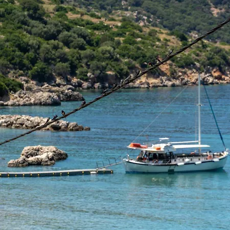 Beachfront Fteri Villa *