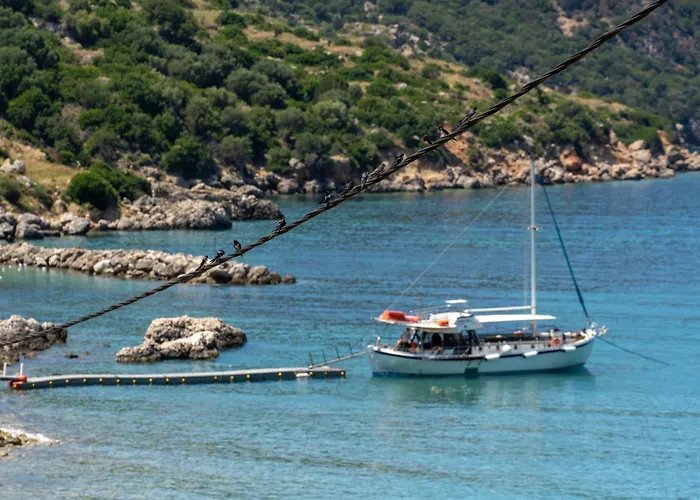 Beachfront Fteri Villa *